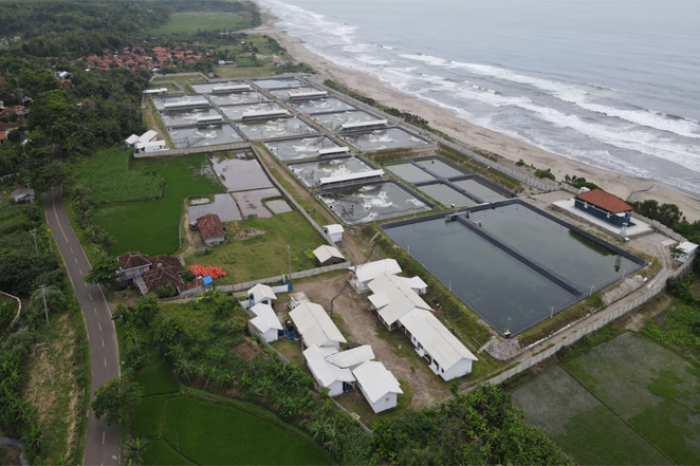 PT. SINAR PUTRA SAMUDRA