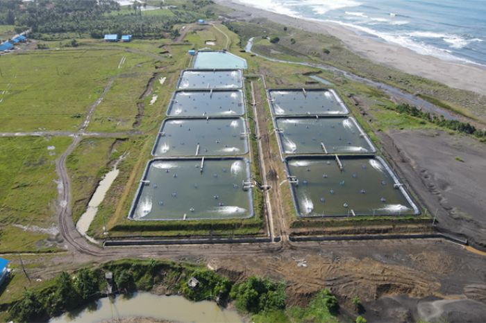 PT. CIKALAPA SHRIMP FARM