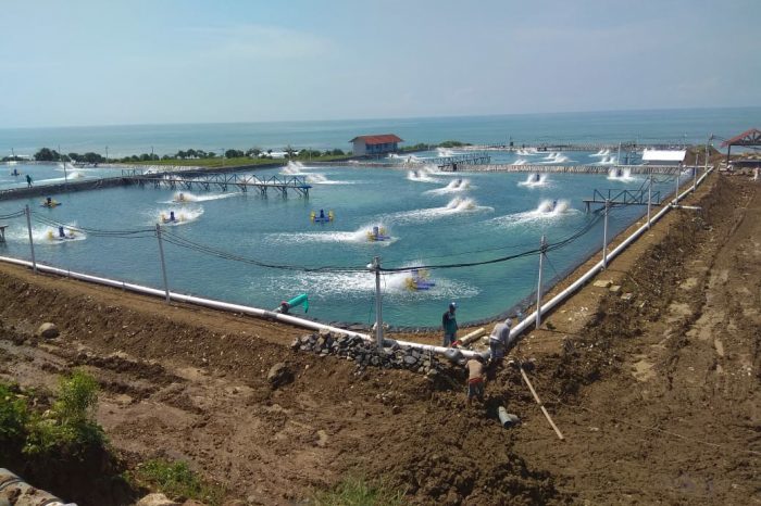 ptprimadwimitra